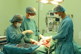 (Ảnh chỉ có tính minh họa: Thanh Sang/TTXVN)