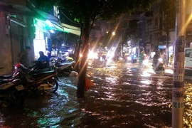 (Ảnh minh họa: Mạnh Linh/TTXVN)