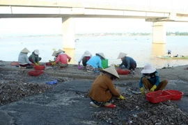 (Ảnh minh họa: Tuấn Anh/TTXVN)