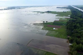 (Ảnh minh họa: Mạnh Linh/TTXVN)