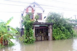 Ảnh (chụp lúc 9 giờ 30 ngày 15/10): Nhiều tuyến đường và nhà dân tại khối 9, phường Quán Bàu, thành phố Vinh ngập sâu trong biển nước. (Ảnh: Bích Huệ/TTXVN)