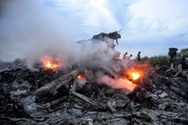 Hiện trường vụ rơi máy bay MH17 ở gần Donetsk, Ukraine ngày 17/7/2014. (Nguồn: EPA/TTXVN)