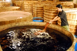 (Ảnh minh họa: Thanh Vũ/TTXVN)