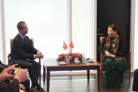 Phó Chủ tịch Quốc hội Tòng Thị Phóng làm việc với Bộ trưởng Môi trường và Thực phẩm Đan Mạch, Esben Lunde Larsen. (Ảnh: Hoàng Hoa/TTXVN)