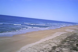 Dầu tràn trên bãi biển đảo Fraser. (Nguồn: abc.net.au)