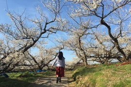 Hãy bắt đầu cho chuyến đi bằng tâm trạng thư giãn và tận hưởng niềm vui của việc lên kế hoạch... (Ảnh: Minh Châu)