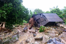 Ảnh minh họa. (Nguồn: TTXVN)