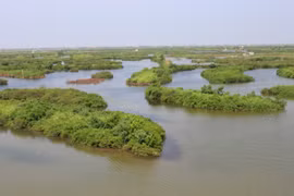 Ảnh minh họa. (Nguồn: Hùng Võ/Vietnam+)