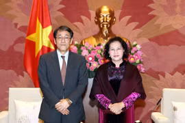 Chủ tịch Quốc hội Nguyễn Thị Kim Ngân tiếp Đại sứ Đặc mệnh toàn quyền Nhật Bản tại Việt Nam Umeda Kunio đến chào từ biệt nhân dịp kết thúc nhiệm kỳ công tác. (Ảnh: Trọng Đức/TTXVN)