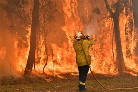 Lực lượng cứu hỏa nỗ lực dập lửa cháy rừng tại Central Coast, Australia. (Ảnh: AFP/TTXVN)