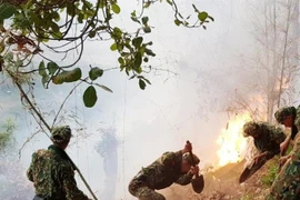 Cán bộ chiến sỹ và người dân tham gia dập lửa, cứu rừng. (Ảnh: Công Mạo/TTXVN)