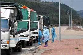 Các phương tiện được khử trung tiêu độc trước khi làm thủ tục thông quan. (Ảnh: Hữu Việt-Văn Đức/TTXVN)