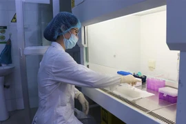 Xét nghiệm SARS-CoV-2. Ảnh minh họa. (Ảnh: Thái Hùng/TTXVN)