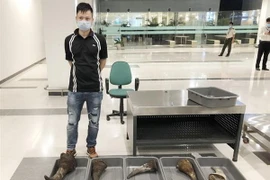 Đối tượng Sơn cùng tang vật. (Ảnh: TTXVN phát)