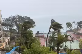 Gió thổi mạnh sau khi bão Mawar tràn vào lãnh thổ Guam thuộc Mỹ, ngày 24/5. (Ảnh: AFP/TTXVN)
