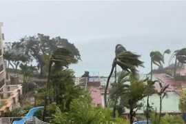 Gió thổi mạnh sau khi bão Mawar tràn vào lãnh thổ Guam thuộc Mỹ, ngày 24/5. (Ảnh: AFP/TTXVN)