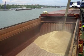 Ngũ cốc được chuyển lên tàu chở hàng tại cảng quốc tế Rostov-on-Don, Nga. (Ảnh: AFP/TTXVN)