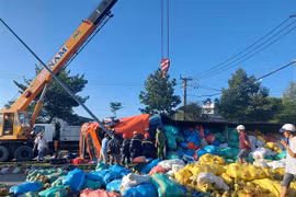 Xe containner chở dừa bị lật ngang trên đường Huỳnh Tấn Phát, đoạn qua xã Phú Hưng,thành phố Bến Tre (Bến Tre). (Ảnh Công Trí/TTXVN)