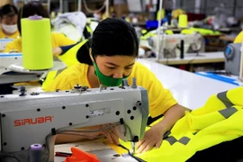 Trong tháng 5/2023, có hơn 12.000 doanh nghiệp được thành lập mới. (Ảnh: Hồng Đạt/TTXVN)