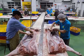 Sơ chế thịt lợn để cung cấp ra thị trường tại nhà máy của Công ty thực phẩm Vinh Anh. (Ảnh: Vũ Sinh/TTXVN)