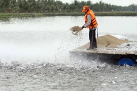 (Ảnh minh họa: Phương Vy/TTXVN)