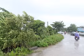 Mưa to kèm gió mạnh tại ven biển huyện Tiền Hải. (Ảnh: Quốc Khánh/TTXVN)