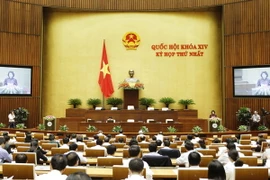 Quốc hội họp phiên toàn thể tại hội trường. (Ảnh: An Đăng/TTXVN)