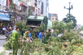 Công an thành phố Hà Nội tham gia dọn cành, lá cây sau bão. (Ảnh: Mạnh Khánh/TTXVN)