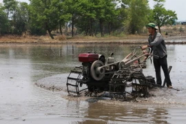 (Ảnh minh họa: Công Mạo/TTXVN)