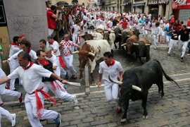 Những màn rượt đuổi "thót tim"của các chú bò tót trong lễ hội San Fermin ở Pamplona ngày 8/7. (Nguồn: AFP/TTXVN)