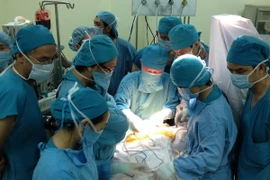 Ảnh minh họa. (Nguồn: TTXVN phát)