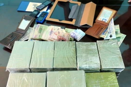 (Ảnh minh họa: Văn Đạt/TTXVN)