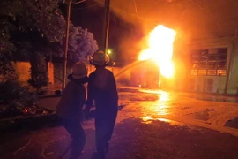 (Ảnh minh họa: Hoàng Ngọc/TTXVN)