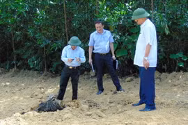 Lấy mẫu chất thải để đưa đi kiểm tra. (Ảnh Phan Quân/TTXVN)