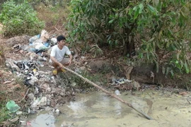 (Ảnh minh họa: Đậu Tất Thành/TTXVN)