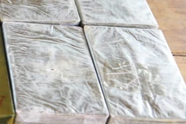 (Ảnh minh họa: Lê Hữu Quyết/TTXVN)