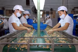 Ảnh chỉ mang tính minh họa. (Nguồn: TTXVN)