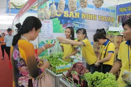 Nhiều doanh nghiệp tận dụng được cơ hội mở rộng thị trường thông qua các chương trình Xúc tiến thương mại (Ảnh: Đức Duy/Vietnam+)