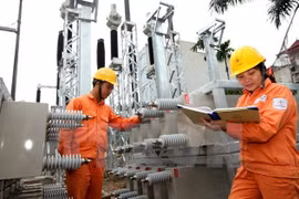 Ảnh chỉ mang tính minh họa. (Nguồn: TTXVN)