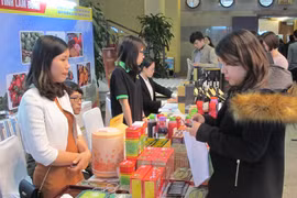 Nhiều sản phẩm địa phương vẫn chưa tìm được đầu ra bền vững do nền sản xuất manh mùn, nhỏ lẻ. (Ảnh minh họa. Nguồn: Đức Duy/Vietnam+)