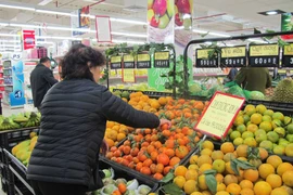 Lạm phát trong năm 2016 có thể vượt mức 5% mà Quốc hội đề ra. (Ảnh: Đức Duy/Vietnam+)