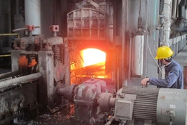 Ảnh chỉ mang tính minh họa. (Nguồn: ĐỨc Duy/Vietnam+)