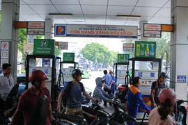 Hình chỉ mang tính minh họa. (Ảnh: Đức Duy/Vietnam+)