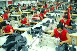 Ảnh chỉ mang tính minh họa (Nguồn: TTXVN)