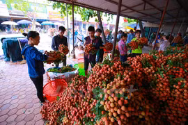 Rất nhiều mặt hàng nông sản của Việt Nam vẫn chưa xây dựng được thương hiệu. (Ảnh: PV/Vietnam+)