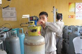 Ảnh chỉ mang tính minh họa. (Nguồn: Đức Duy/Vietnam+)