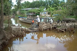 Ảnh minh họa. (Nguồn: Internet)