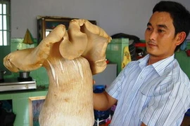 Cây nấm mối khổng lồ. (Nguồn: Internet)