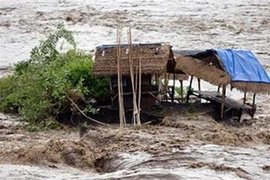 Ảnh minh họa. (Nguồn: AFP)