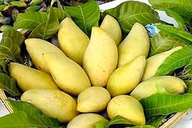 Ảnh minh họa. (Nguồn: kyluc.vn)